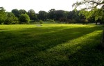photo thumbnail #7
