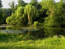 photo thumbnail #8