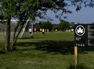 photo thumbnail #14