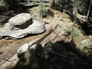 photo thumbnail #2