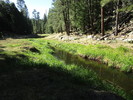 photo thumbnail #10