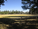photo thumbnail #14