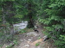 photo thumbnail #1