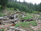 photo thumbnail #2