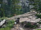 photo thumbnail #7