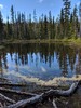 photo thumbnail #2