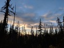 photo thumbnail #9