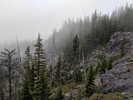photo thumbnail #15