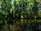 photo thumbnail #9