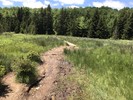 photo thumbnail #5