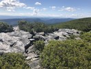 photo thumbnail #4