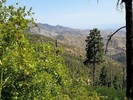 photo thumbnail #13