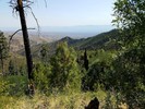 photo thumbnail #14
