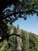 photo thumbnail #15