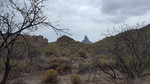 photo thumbnail #13