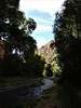 photo thumbnail #10