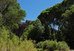 photo thumbnail #14