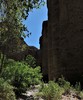 photo thumbnail #15