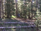 photo thumbnail #14