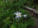 photo thumbnail #2