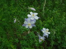 photo thumbnail #5