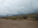 photo thumbnail #5