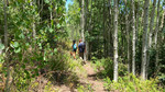 photo thumbnail #11