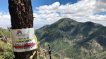 photo thumbnail #15
