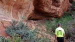 photo thumbnail #8