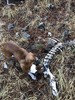 photo thumbnail #7