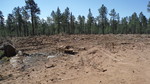 photo thumbnail #2