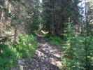 photo thumbnail #3