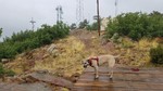 photo thumbnail #3