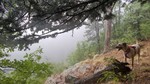 photo thumbnail #10