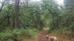 photo thumbnail #13