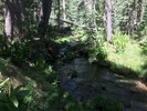 photo thumbnail #15