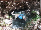 photo thumbnail #3