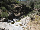photo thumbnail #9