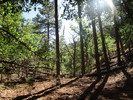 photo thumbnail #14
