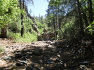 photo thumbnail #6