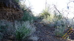 photo thumbnail #15