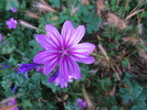 photo thumbnail #10