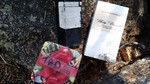 photo thumbnail #4