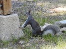 photo thumbnail #4