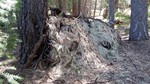 photo thumbnail #8