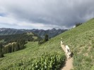 photo thumbnail #6