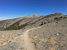2018-06-22 :2: South Loop Charleston Peak Trail :: toddak