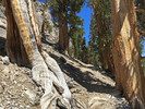 photo thumbnail #4