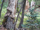 photo thumbnail #5
