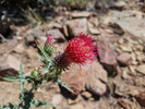 photo thumbnail #12